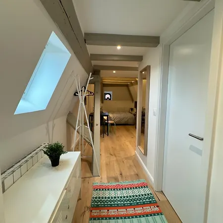 Apartman Le Salzmann Strasbourg