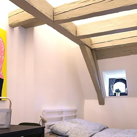 Le Salzmann Apartman Strasbourg